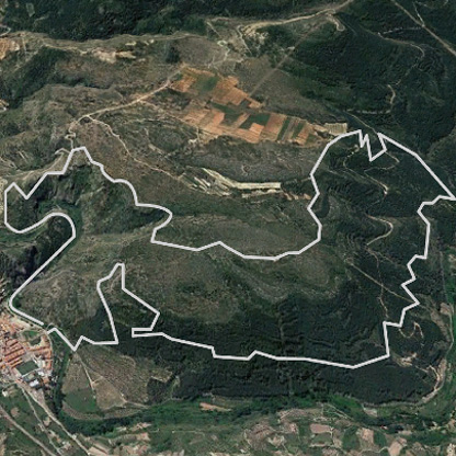 garabaya aerea