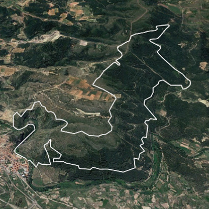 garabaya aerea